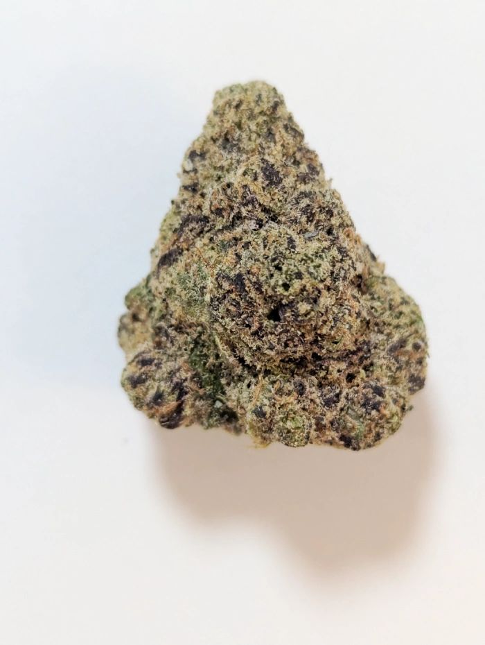 BLOOD HONEY STRAIN