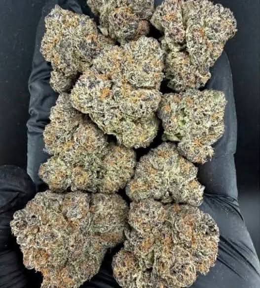CHERRY BURST