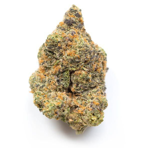 GORILLA GLUE #4